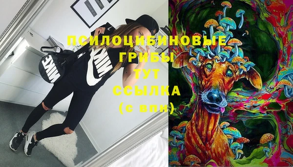 спайс Магадан